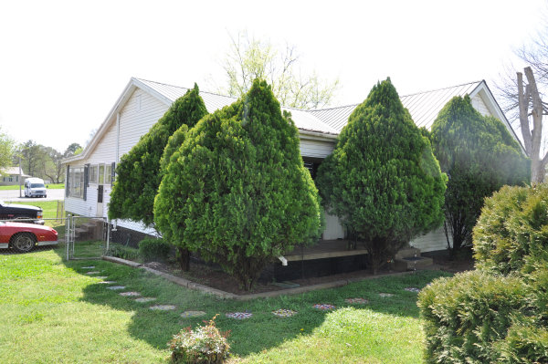 3200 Alpine Street SW