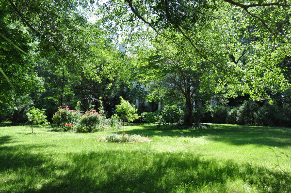 118 Calhoun Street NE