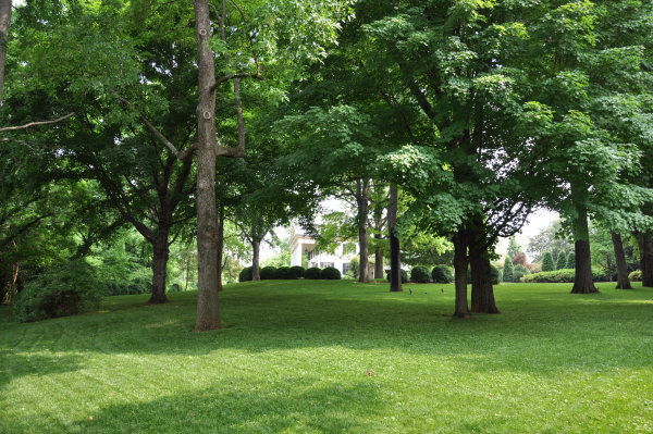 403 Echols Avenue SE