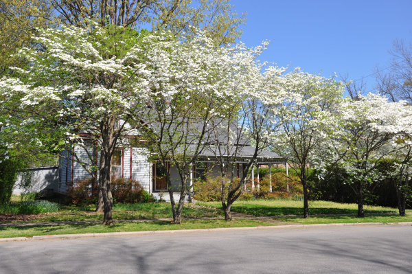 721 Holmes Avenue NE