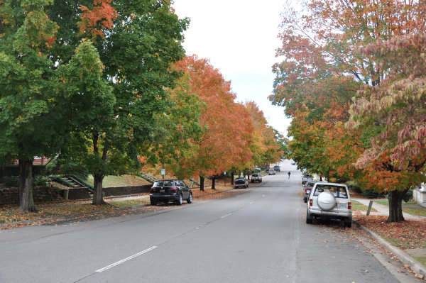 Lincoln Street SE