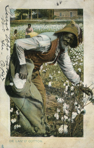 The Southpaw Postcard Collection - Agriculture