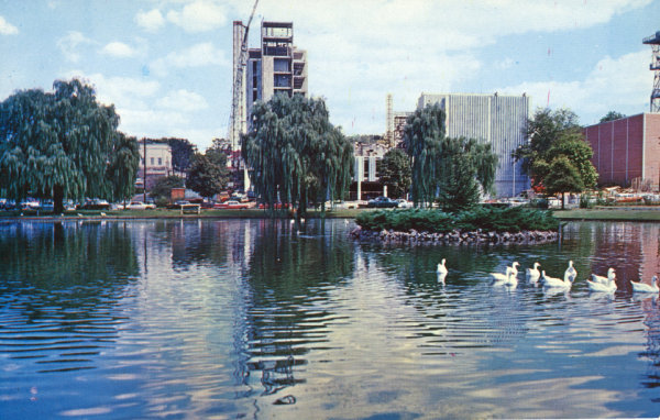 The Southpaw Postcard Collection - Government