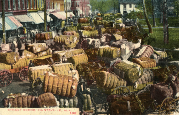 The Southpaw Postcard Collection - Agriculture