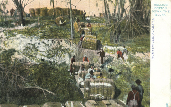 The Southpaw Postcard Collection - Agriculture
