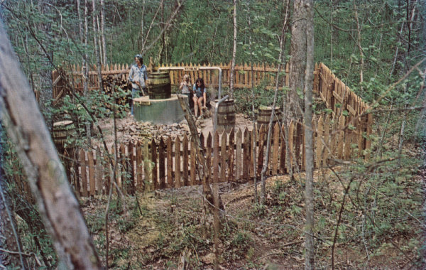 The Southpaw Postcard Collection - Other