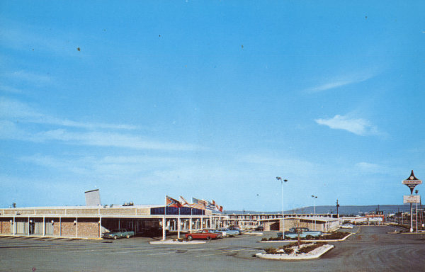 The Southpaw Postcard Collection - Hotels & Motels