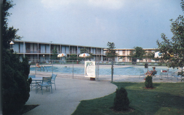 The Southpaw Postcard Collection - Hotels & Motels