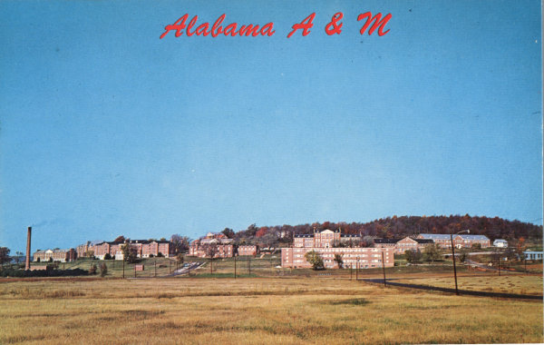 The Southpaw Postcard Collection - Schools