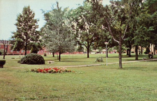 The Southpaw Postcard Collection - Schools