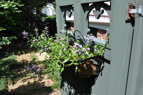 109 Steele Street NE