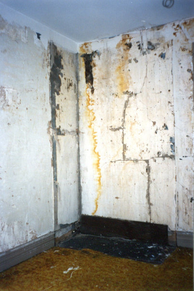 117 Walker Avenue NE