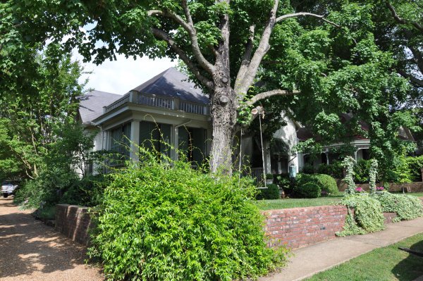 317 White Street SE