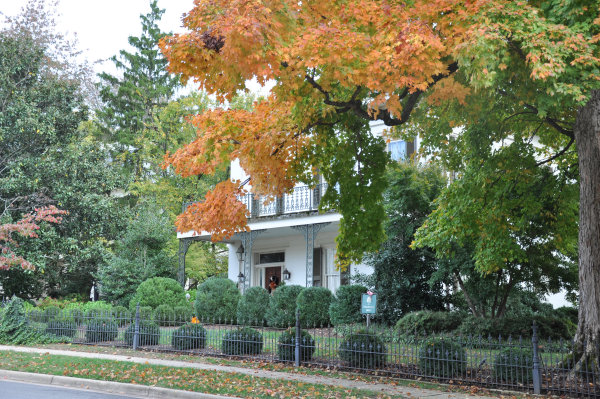 310 Williams Avenue SE