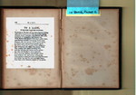 Poem - To A Lady With Some Painted Flowers - Series 10, Subseries A, Box 6, Folder 2 (84609)